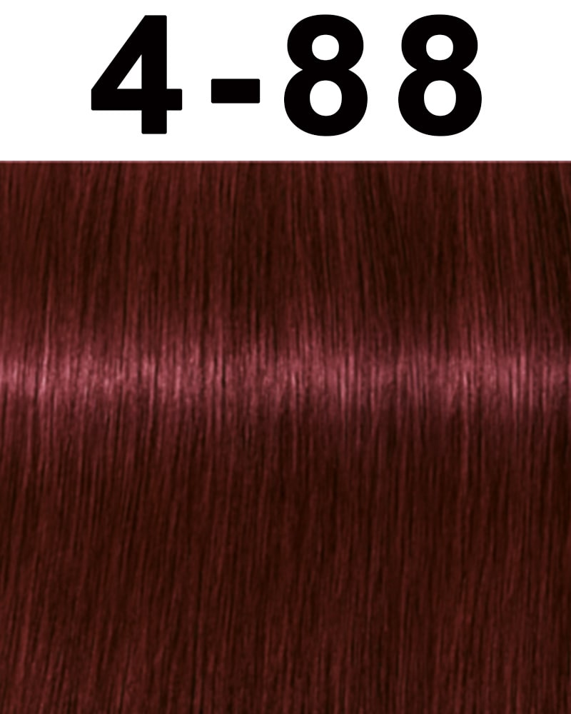 Schwarzkopf Igora Royal Permanent Hair Color