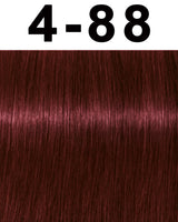 Schwarzkopf Igora Royal Permanent Hair Color