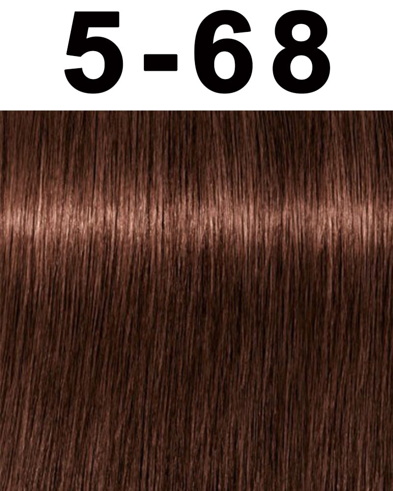 Schwarzkopf Igora Royal Permanent Hair Color