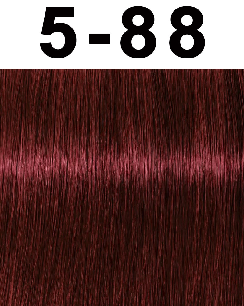 Schwarzkopf Igora Royal Permanent Hair Color