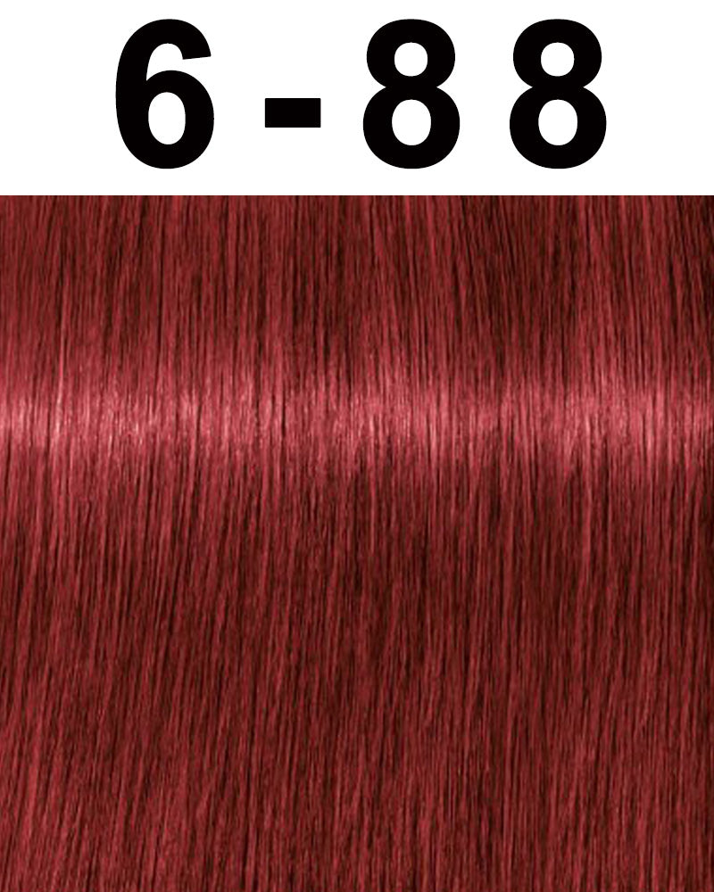 Schwarzkopf Igora Royal Permanent Hair Color