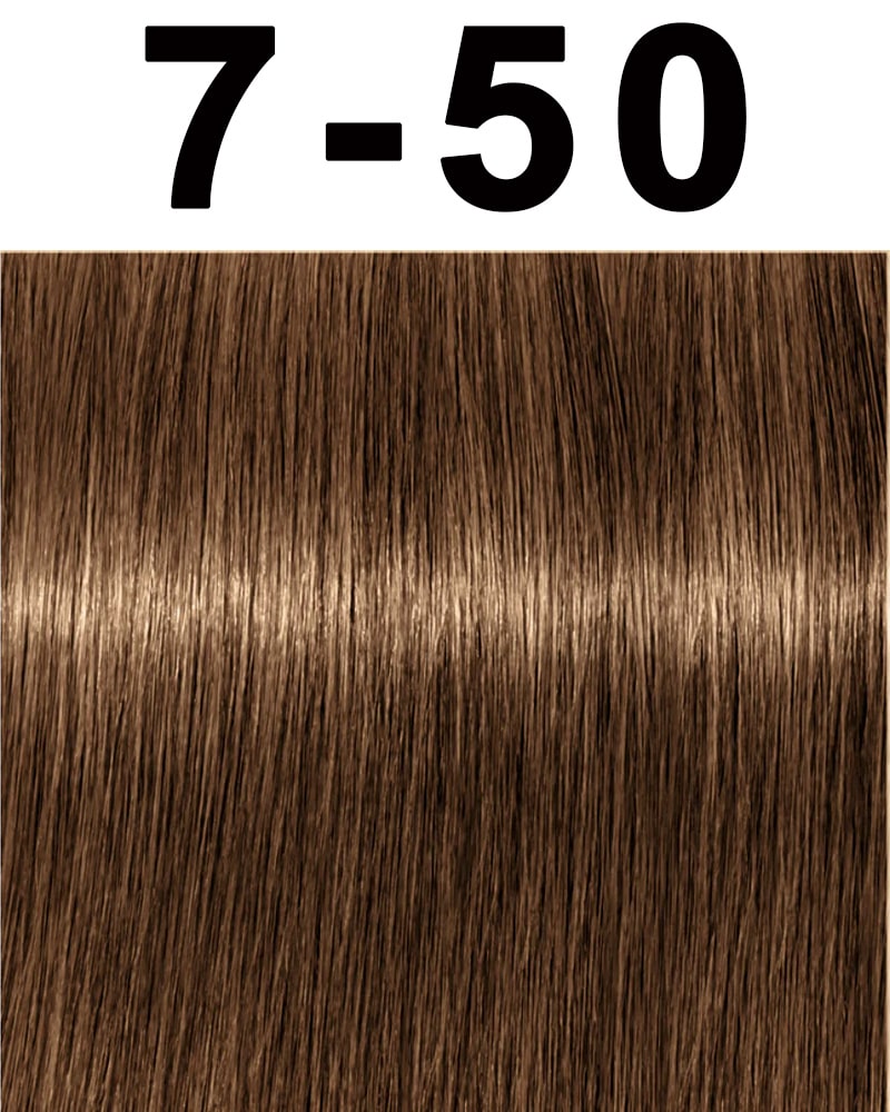 Schwarzkopf Igora Absolutes Hair Color