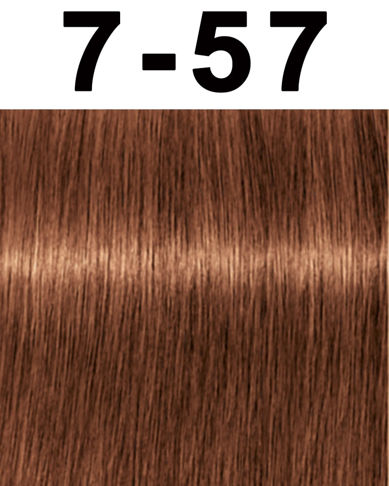 Schwarzkopf Igora Royal Permanent Hair Color