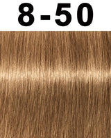 Schwarzkopf Igora Absolutes Hair Color