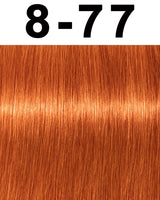 Schwarzkopf Igora Royal Permanent Hair Color