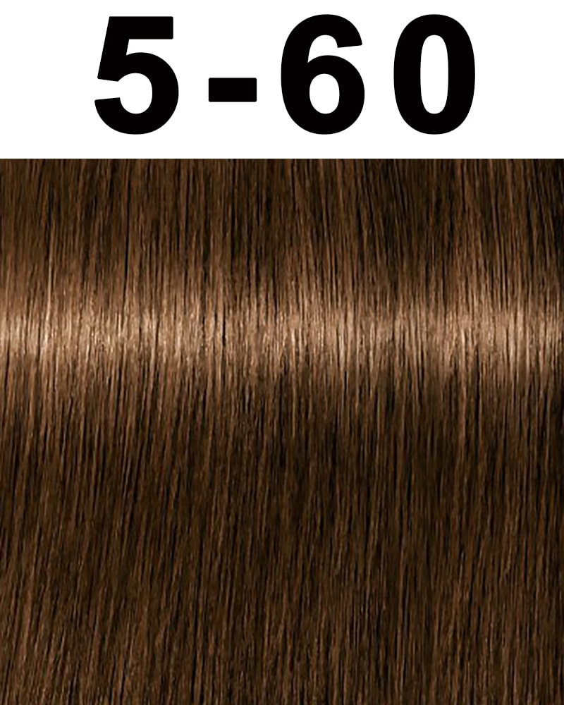 Schwarzkopf Igora Absolutes Hair Color