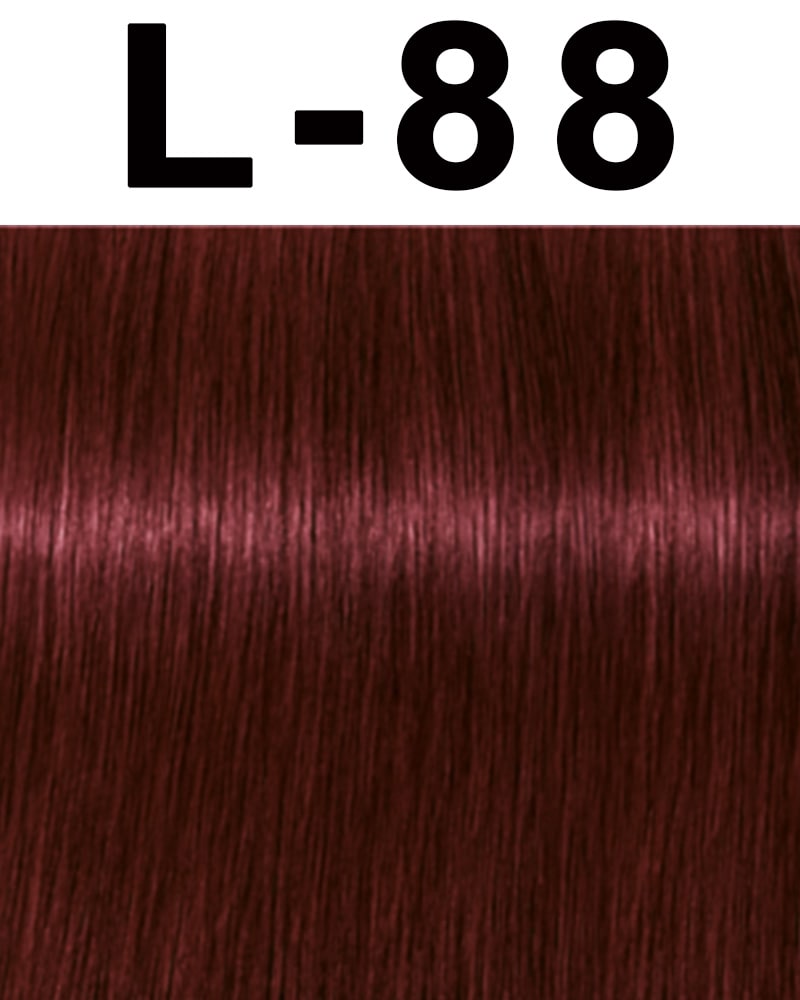 Schwarzkopf Igora Royal Permanent Hair Color