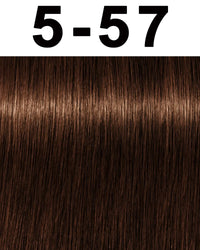 5-57 Light Brown Gold Copper