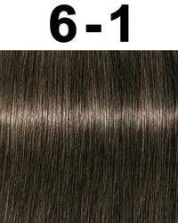 6-1 Dark Blonde Cendre