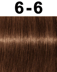 6-6 Dark Blonde Chocolate