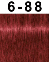 Schwarzkopf Igora Royal Permanent Hair Color
