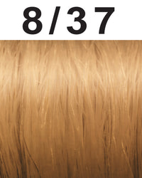 8/37 Light Blonde / Gold Brown