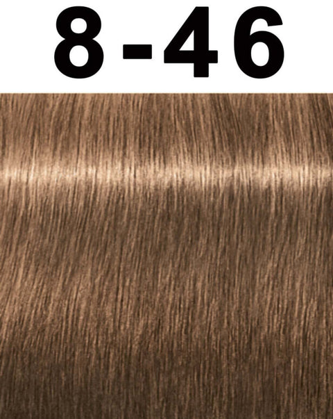 Schwarzkopf Igora Royal Permanent Hair Color