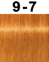 Schwarzkopf Igora Royal Permanent Hair Color