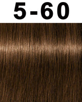Schwarzkopf Igora Absolutes Hair Color