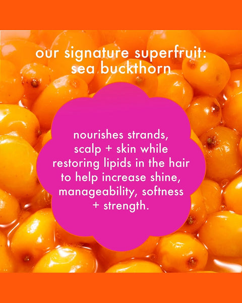 Amika The Wizard Detangling Primer 5 oz