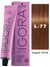 Schwarzkopf Igora Fashion Lights Hair Permanent Highlight Color Cream  with Fibrebond Technology inside