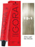 Schwarzkopf Igora Royal Permanent Hair Color