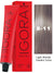 Schwarzkopf Igora Royal Permanent Hair Color