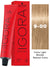 Schwarzkopf Igora Royal Permanent Hair Color