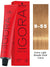 Schwarzkopf Igora Royal Permanent Hair Color