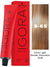 Schwarzkopf Igora Royal Permanent Hair Color