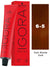 Schwarzkopf Igora Royal Permanent Hair Color