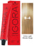 Schwarzkopf Igora Royal Permanent Hair Color