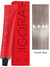 Schwarzkopf Igora Royal Permanent Hair Color