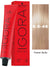 Schwarzkopf Igora Royal Permanent Hair Color